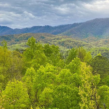 Amazing Views Villa Gatlinburg Cameră foto
