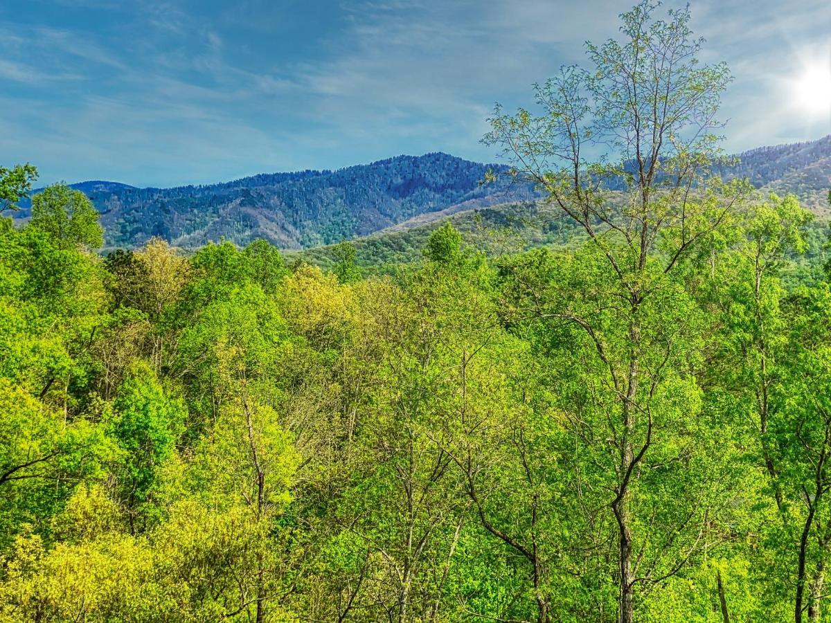 Amazing Views Villa Gatlinburg Exterior foto